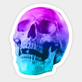 Skull Sticker